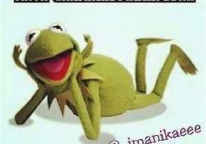 Kermit the Frog Birthday Meme 625 Best Images About Kermit 39 S Tea Party On Pinterest