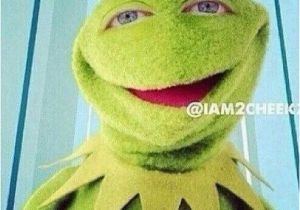 Kermit the Frog Birthday Meme 63 Best Comedy Kermit Memes Images On Pinterest