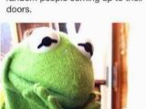 Kermit the Frog Birthday Meme Image 786053 Halloween Know Your Meme