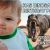 Kids Birthday Memes Kids Birthdays Beyondbones