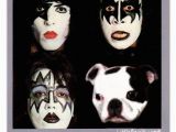 Kiss Happy Birthday Meme Boston Terrier Ecards Boston Terriers In Rock History