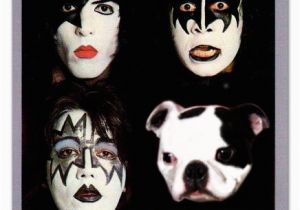 Kiss Happy Birthday Meme Boston Terrier Ecards Boston Terriers In Rock History