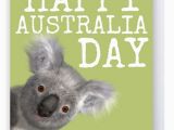 Koala Birthday Meme 17 Best Ideas About Koala Meme On Pinterest Animal Memes