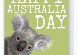 Koala Birthday Meme 17 Best Ideas About Koala Meme On Pinterest Animal Memes