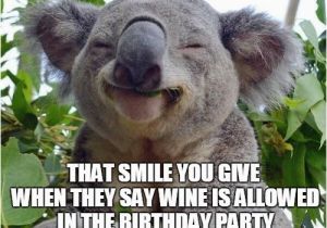 Koala Birthday Meme 30 Happy Birthday Wine Memes Wishesgreeting