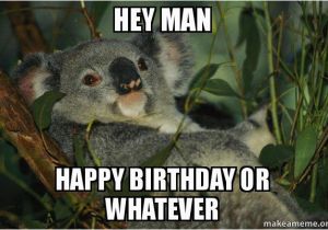 Koala Birthday Meme Hey Man Happy Birthday or Whatever Laid Back Koala