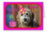 Labradoodle Birthday Card 352 Best Images About Pooches and Purrs Pet Store Zazzle