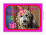 Labradoodle Birthday Card 352 Best Images About Pooches and Purrs Pet Store Zazzle