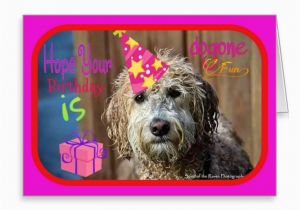 Labradoodle Birthday Card 352 Best Images About Pooches and Purrs Pet Store Zazzle