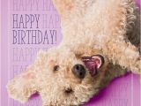 Labradoodle Birthday Card Birthday Labradoodle Google Zoeken More Kaarten