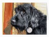 Labradoodle Birthday Card Black Labradoodle 1 Greeting Cards Zazzle Com