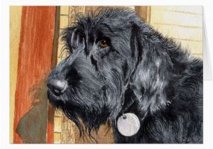 Labradoodle Birthday Card Black Labradoodle 1 Greeting Cards Zazzle Com