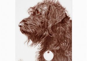 Labradoodle Birthday Card Chocolate Labradoodle Greeting Card Zazzle