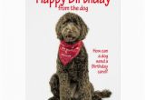 Labradoodle Birthday Card Labradoodle Birthday Card Zazzle