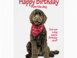 Labradoodle Birthday Card Labradoodle Birthday Card Zazzle