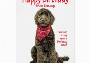 Labradoodle Birthday Card Labradoodle Birthday Card Zazzle