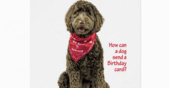 Labradoodle Birthday Card Labradoodle Birthday Card Zazzle