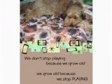 Labradoodle Birthday Card Labradoodle Birthday Greeting Card Zazzle