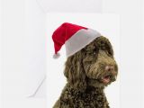 Labradoodle Birthday Card Labradoodle Christmas Greeting Cards Card Ideas Sayings