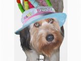 Labradoodle Birthday Card Labradoodle In Birthday Hat Note Card Zazzle