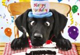Labrador Birthday Cards Black Labrador Birthday Card for Me Funny Dog Birthday
