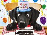 Labrador Birthday Cards Black Labrador Birthday Card for Me Funny Dog Birthday