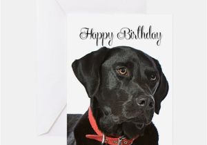 Labrador Birthday Cards Black Labrador Gifts Merchandise Black Labrador Gift
