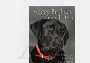 Labrador Birthday Cards Black Labrador Retriever Gifts Merchandise Black