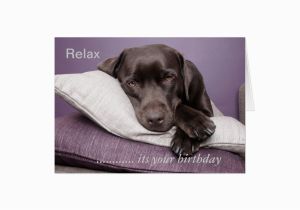 Labrador Birthday Cards Chocolate Labrador Retriever Custom Birthday Card Zazzle