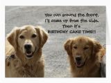 Labrador Birthday Cards Golden Lab Friends Birthday Card Zazzle Com