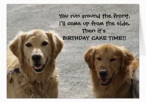 Labrador Birthday Cards Golden Lab Friends Birthday Card Zazzle Com