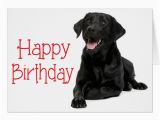 Labrador Birthday Cards Happy Birthday Fun Card with Labrador Dog Zazzle Co Uk