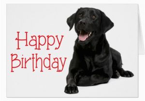 Labrador Birthday Cards Happy Birthday Fun Card with Labrador Dog Zazzle Co Uk