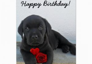 Labrador Birthday Cards Happy Birthday Labrador Retriever Greeting Card Zazzle Com