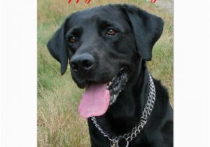 Labrador Birthday Cards Labrador Retriever Dog Happy Birthday Card Zazzle Com