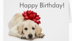 Labrador Birthday Cards Labrador Retriever Happy Birthday Card Zazzle