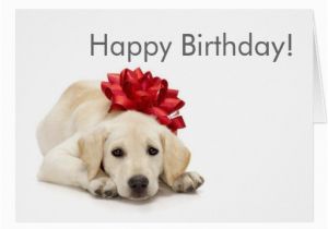 Labrador Birthday Cards Labrador Retriever Happy Birthday Card Zazzle