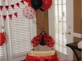 Ladybug 1st Birthday Decorations 17 Best Images About 1st Birthday Ladybug Cake Skirts