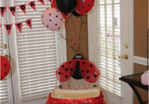 Ladybug 1st Birthday Decorations 17 Best Images About 1st Birthday Ladybug Cake Skirts