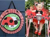 Ladybug 1st Birthday Decorations 1st Birthday Party Ladybug Picnic theme Cakes Likes A