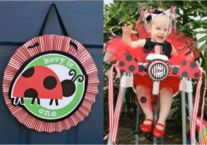 Ladybug 1st Birthday Decorations 1st Birthday Party Ladybug Picnic theme Cakes Likes A