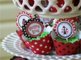 Ladybug 1st Birthday Decorations A Little Loveliness Ladybug First Birthday Party