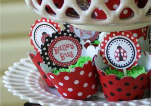 Ladybug 1st Birthday Decorations A Little Loveliness Ladybug First Birthday Party