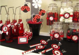 Ladybug 1st Birthday Decorations Ladybug 1st Birthday Birthday Party Ideas Photo 3 Of 7