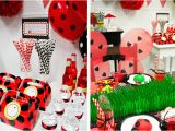 Ladybug Birthday Decorations Ideas Diy Ladybug Party Birthday Express
