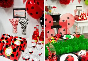 Ladybug Birthday Decorations Ideas Diy Ladybug Party Birthday Express