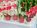 Ladybug Birthday Decorations Ideas Kara 39 S Party Ideas Ladybug themed Birthday Party