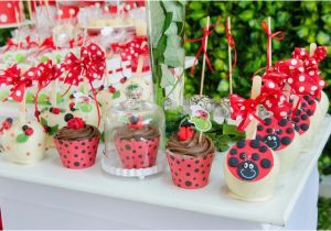 Ladybug Birthday Decorations Ideas Kara 39 S Party Ideas Ladybug themed Birthday Party