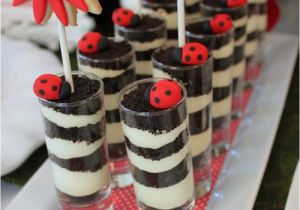 Ladybug Birthday Decorations Ideas Kara 39 S Party Ideas Lovebug Ladybug Birthday Party Ideas