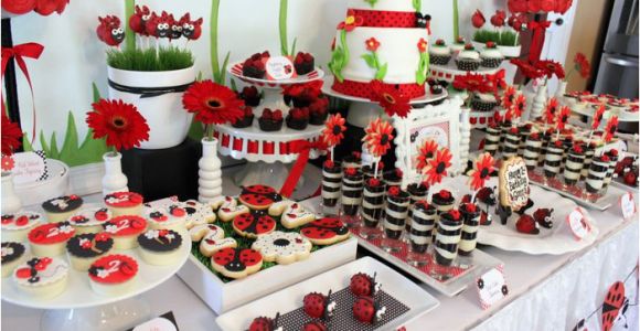 Ladybug Birthday Decorations Ideas Kara 39 S Party Ideas Lovebug Ladybug Birthday Party Ideas